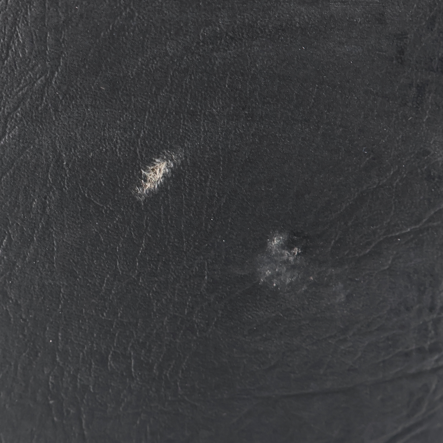 Epiphone Epiphone IGC 1959 ES-355 Classic White with Phat Cat P90 Pickup Mod (BB4) (39046)