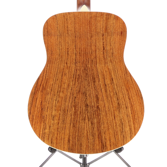 Fender California Vintage Palomino with Case, Gold Pickguard, Aged Natural (RC1) (06488)