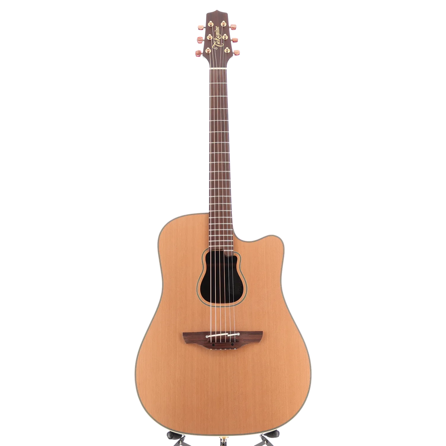 Garth Brooks Model Dreadnought Cutaway (RC1) (90724)