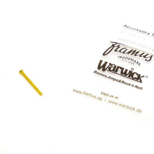 Warwick Screw 30MM Long 4 MM Head Gold (B1t)