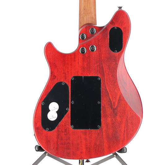 EVH Wolfgang WG Standard Exotic Zebrawood, Baked Maple Fingerboard, Natural (RP) (02580)