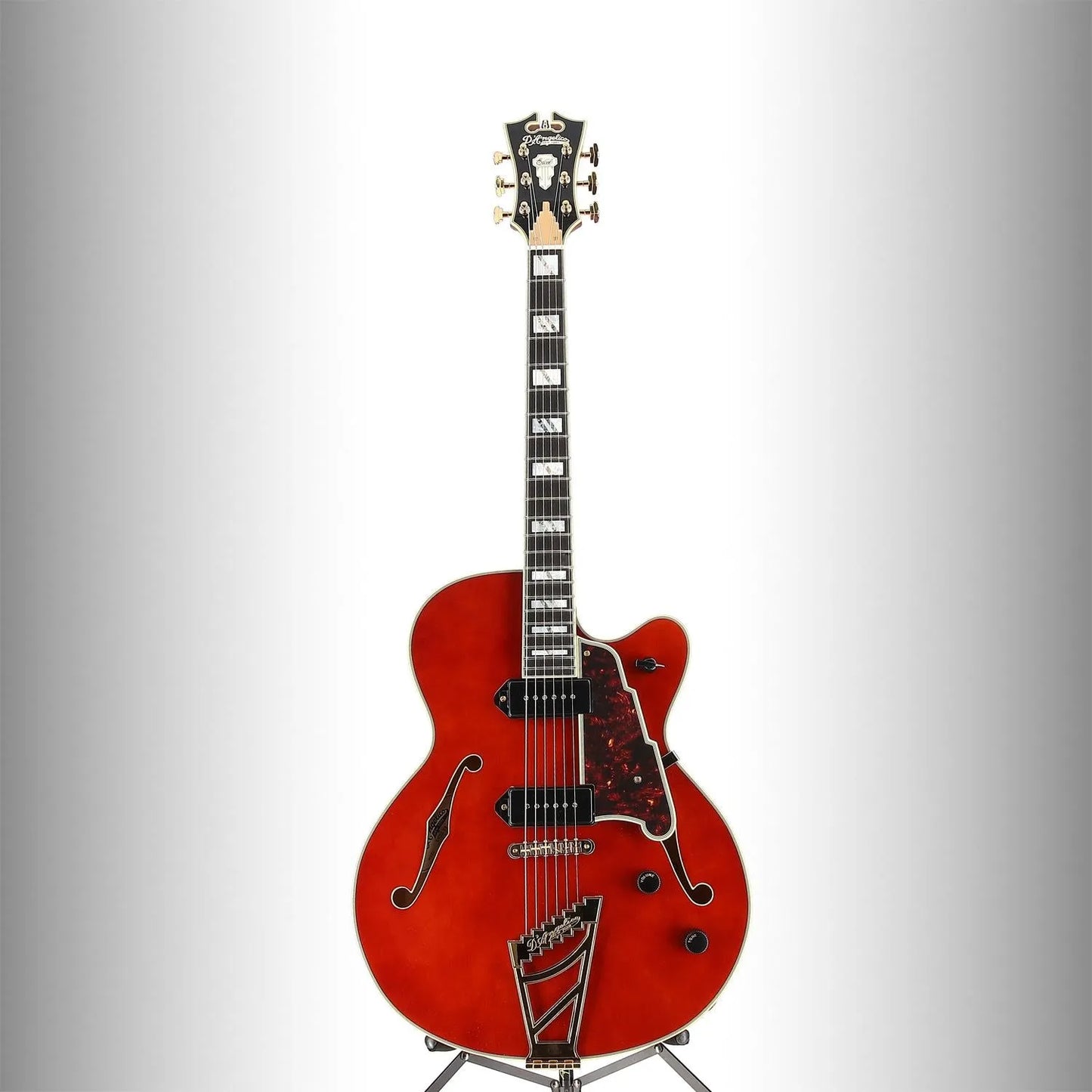 D'angelico Excel 59 Viola (V5) (03565)