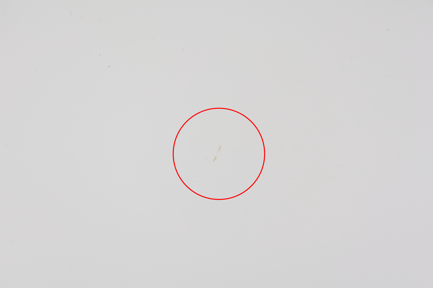 Epiphone IGC 1959 ES-355 - Classic White (SR) (09007)