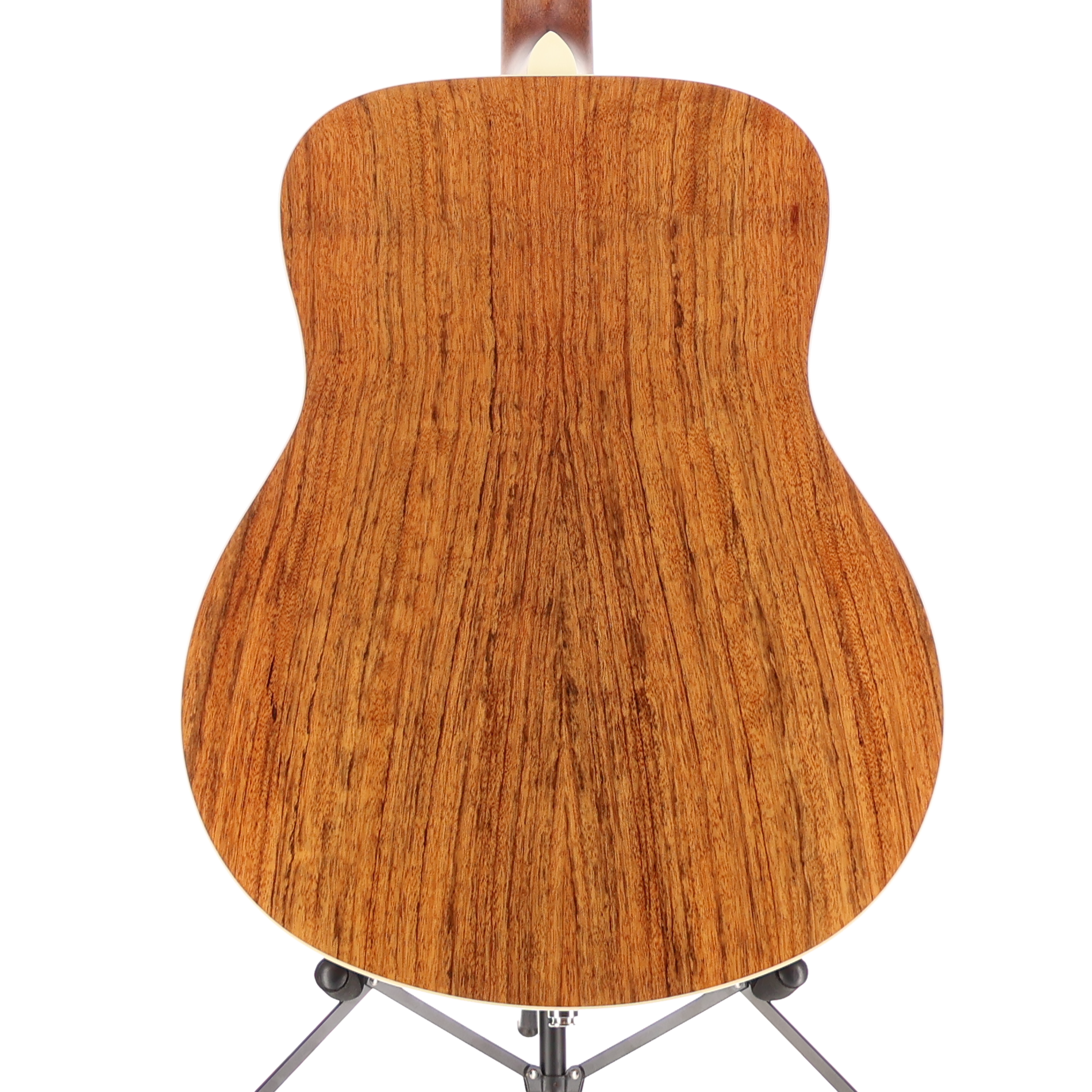 Fender California Vintage Palomino with Case, Gold Pickguard, Aged Natural (RC1) (06488)