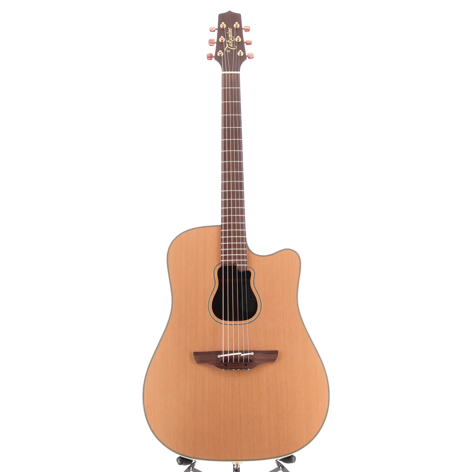 Garth Brooks Model Dreadnought Cutaway (RC1) (90724)