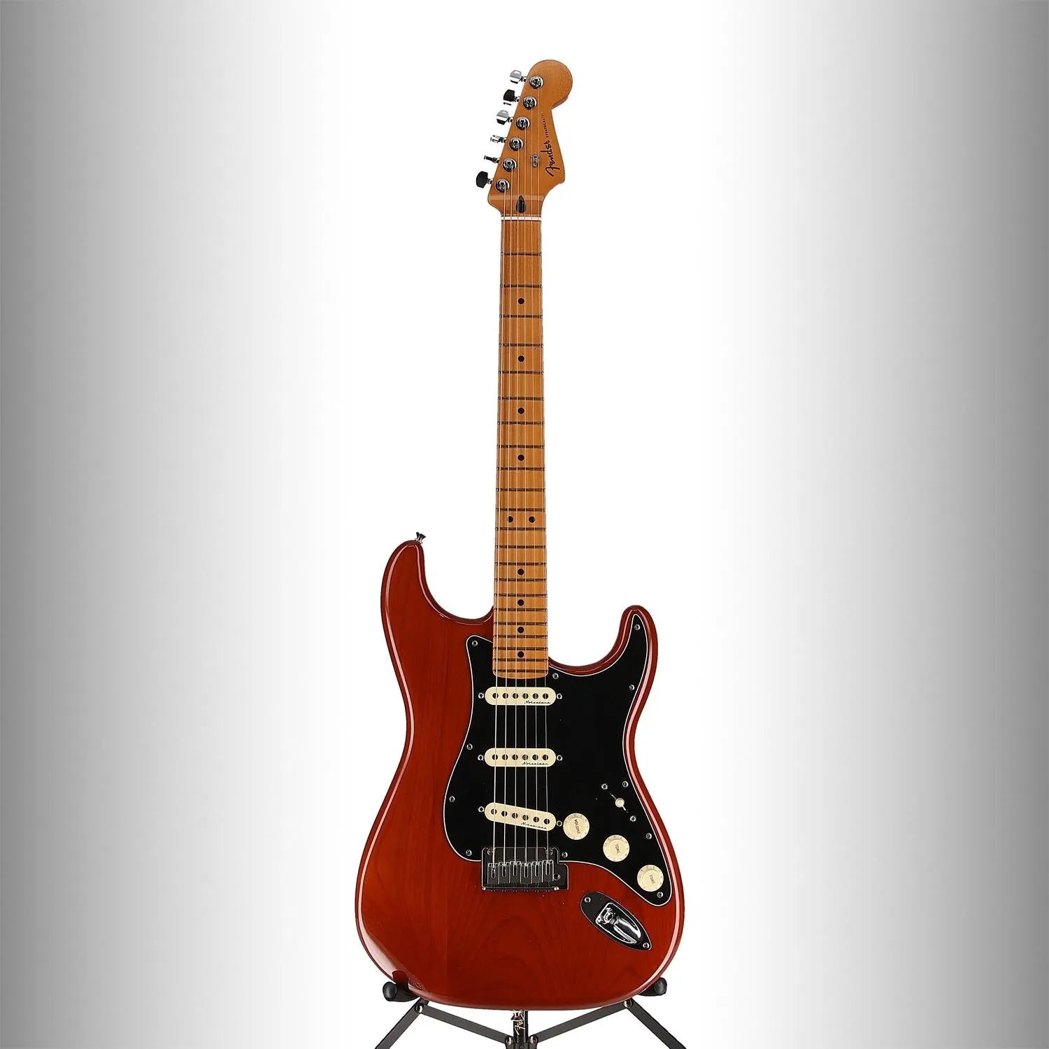 Limited Edition Player Plus Stratocaster (E2) (66788)