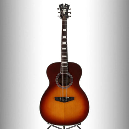 Premier Tammany - Iced Tea Burst (O1) (18827)